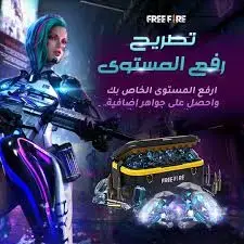 حزمة المستوى 25